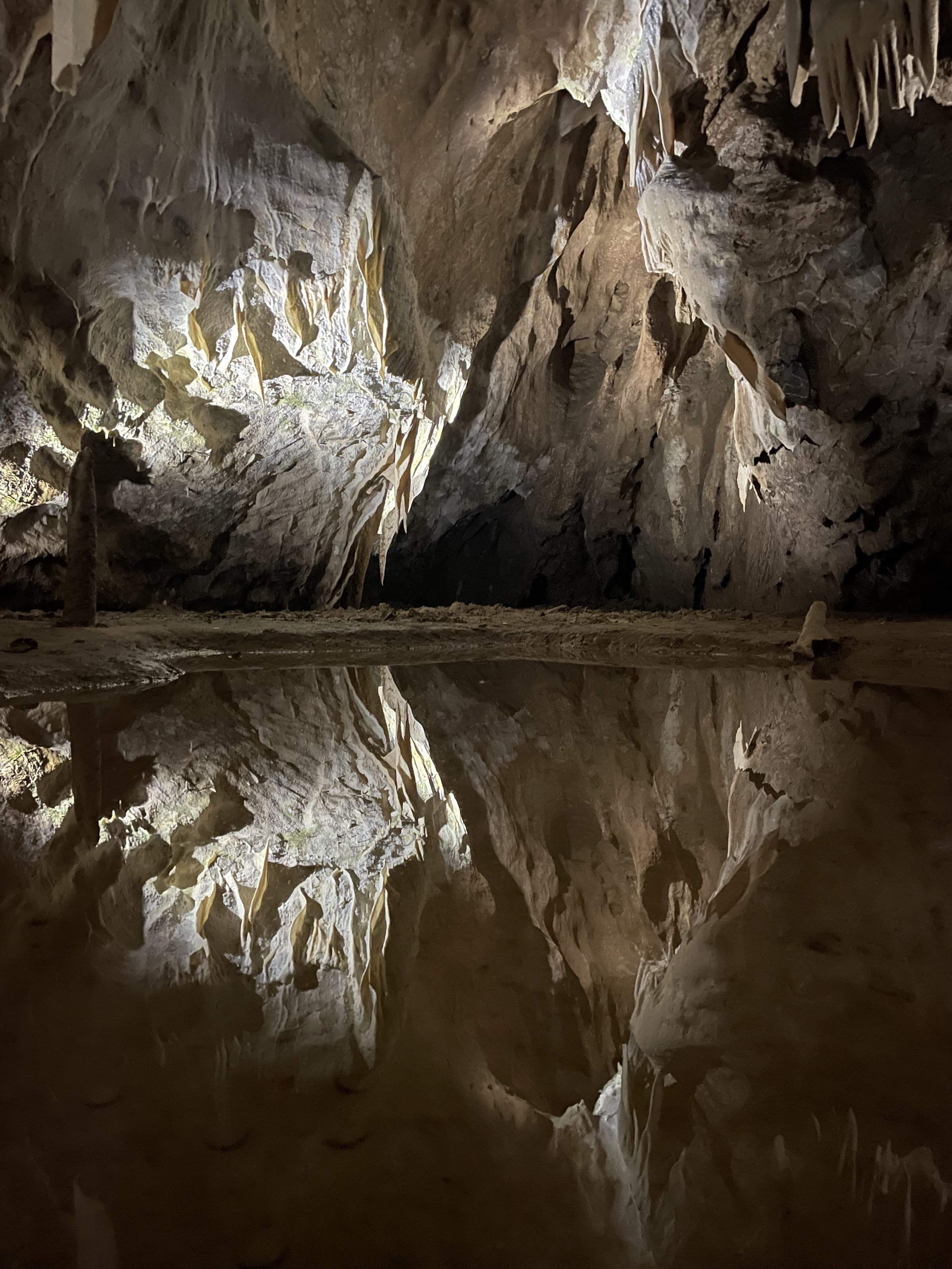 Punkva Caves (including Macocha Abyss)